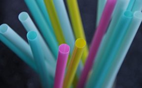 straws-3193715_1920