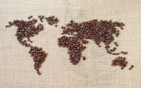Fórum Café: Mercado del café 2022, más sombras que claros