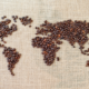 Fórum Café: Mercado del café 2022, más sombras que claros