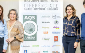 Aneda diciembre 2025